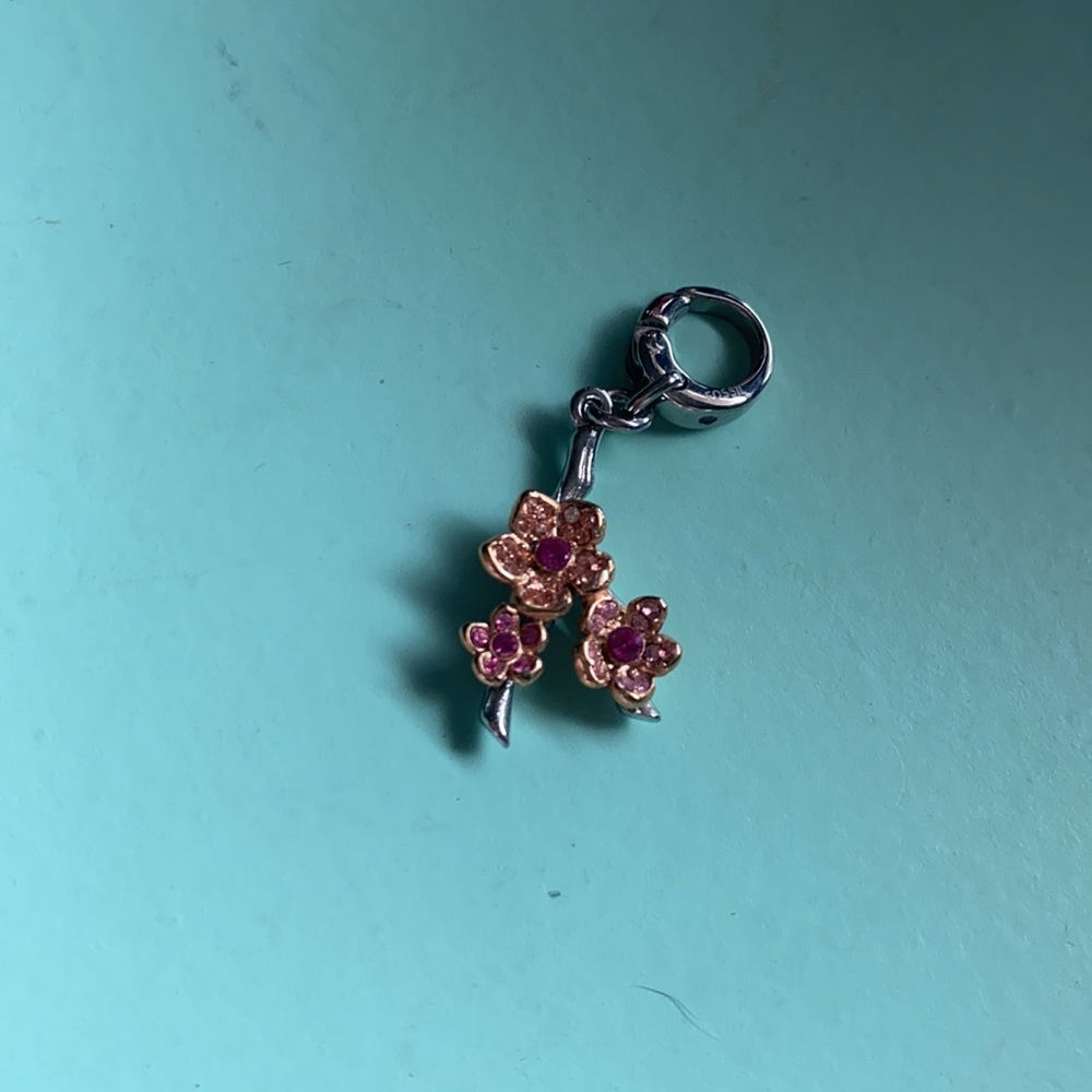 fossil charm - Picture 2 of 3